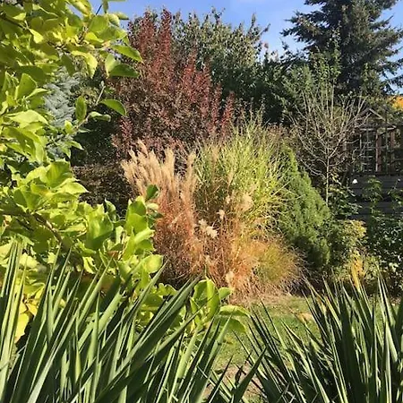 Dom Z Ogrodem Blisko Centrum Villa