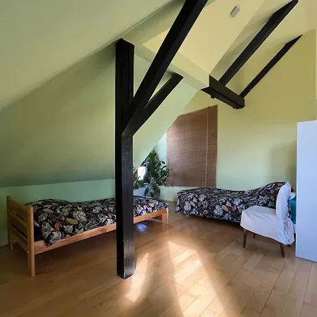 Villa Dom Z Ogrodem Blisko Centrum *