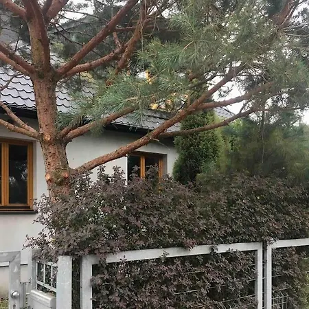 Dom Z Ogrodem Blisko Centrum * Poznań