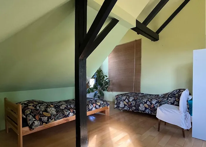 Villa Dom Z Ogrodem Blisko Centrum *